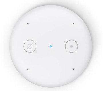 Amazon Echo Input, Bring Alexa to Your Own Speaker - Imported from UK